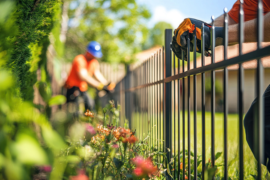 Fence Maintence